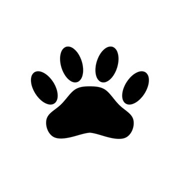 animal footprints vector on white background