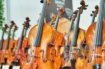 Violins