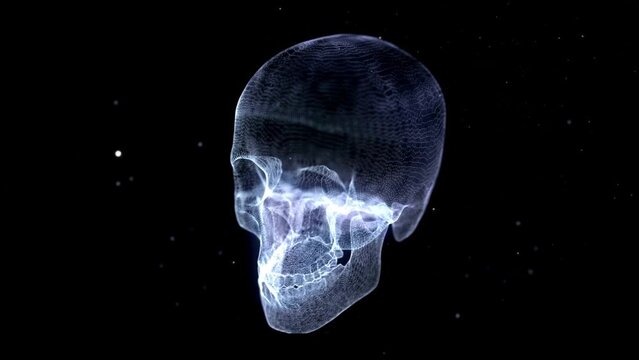 Grid of Human Skull animation. HD