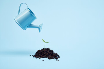 Bright blue garden watering can hover over green germinating sprout isolated on the bright solid...