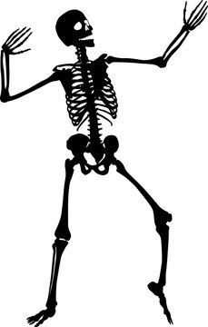 Dancing Skeleton Images – Parcourir 2,154 le catalogue de photos, vecteurs  et vidéos