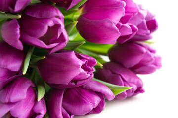 A still-life photo of a springtime bouquet of purple tulips lying on white background. Mother's day, Easter, birthday greeting card concept.