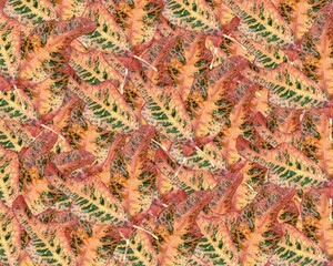 background of red leaves