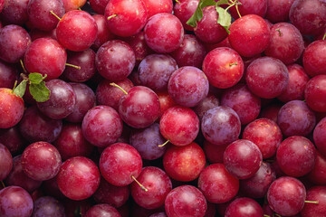Red sweet cherry plums