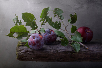 still life with plums