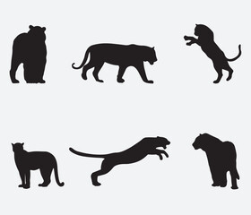 Set of Tiger Silhouettes. Vector