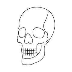 Continuous one line drawing of  skull outline vector art illustration