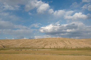 Fototapeta na wymiar Estepas de Kirguistán