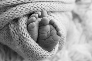 The tiny foot of a newborn baby. Soft feet of a new born in a wool blanket. Close up of toes, heels and feet of a newborn. Macro photography. Black and white