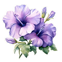 Water color beautiful petunia flower illustration png clip art