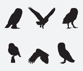 Owl silhouette set. Vector illustration