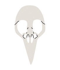Flat vector illustration of a bird's skull. An illustration in a trendy style drawn by hand. An esoteric element for witchcraft. Isolated design on a white background.