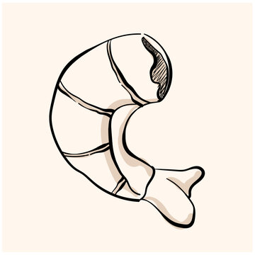 recommend clip art: shrimp doodle line art on cream background