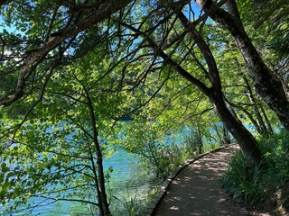 Wooden paths and walkways along the lakes and through the forest in the Plitvice Lakes National Park - Plitvica, Croatia (Drvene staze i &scaron;etnice u Nacionalnom parku Plitvička jezera - Hrvatska)