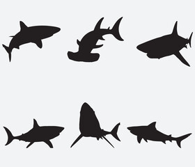 Shark silhouettes set.. Vector illustration