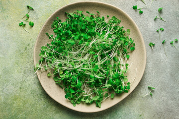 fresh micro-greenery, on a plate, top view, no people,