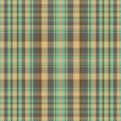 Tartan or plaid winter color pattern.