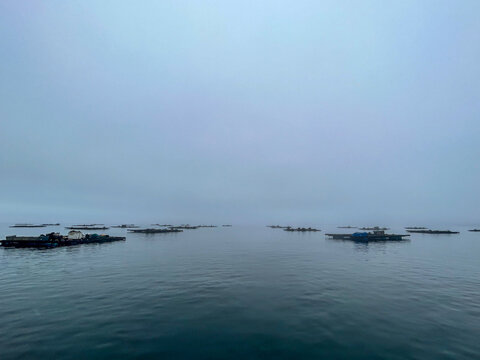 Mist-veiled Bateas in Ria de Pontevedra: A Captivating Foggy Day Scene in Galicia's Aquaculture Fields