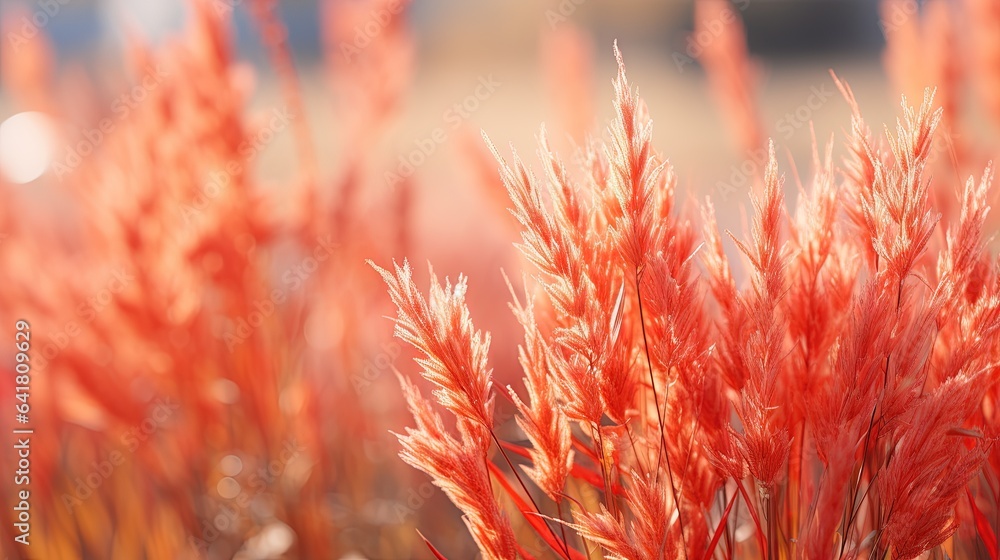 Poster a close up of a bunch of red flowers in a field. generative ai
