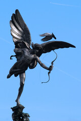 Fototapeta premium The Greek God Anteros on the top pf the Shaftesbury Memorial Fountain in Piccadilly Circus in London