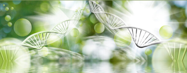 image consisting of various stylized DNA chains in space along with balls and the reflection of all this in the water surface
