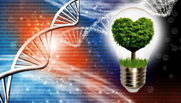 Image  with a light bulb inside which a tree is symbolically placed, and the crown of the tree looking like a heart