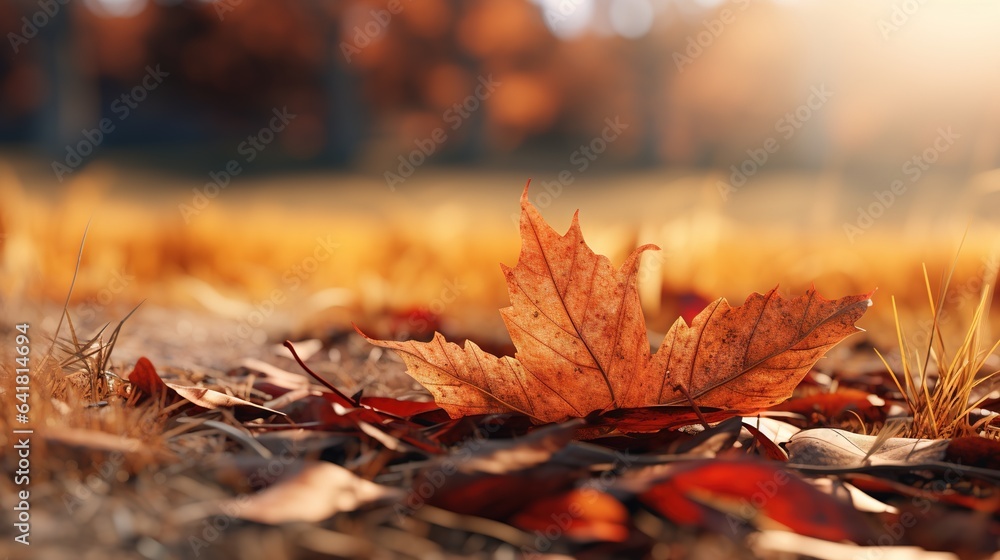 Poster a single leaf laying on the ground in a field of grass. generative ai