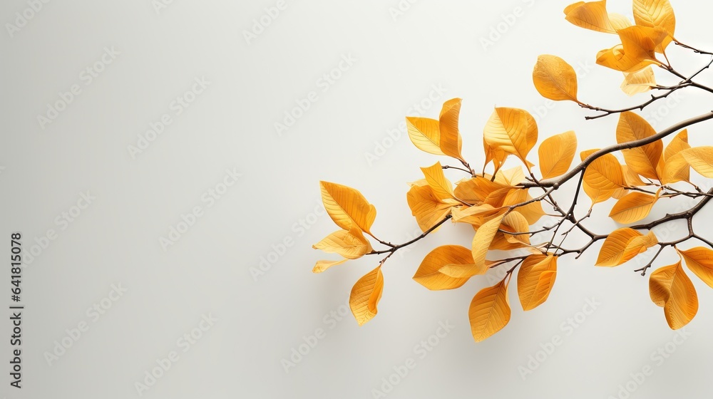 Aufkleber a branch with yellow leaves on a white background with copy - space. generative ai