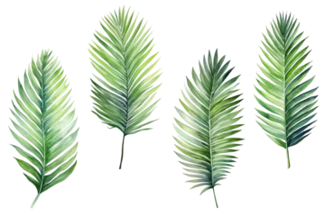 Poster Set of watercolor painting of palm leaves isolated on a white background. Watercolor vector illustration. Generative AI © Ibnu