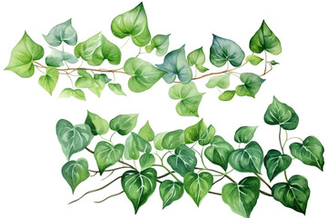 Watercolor painting of green ivy leaves isolated on a white background. Watercolor hand painted illustration. Tropical plants for beautiful design. Generative AI - obrazy, fototapety, plakaty