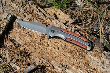 Obraz premium Folding knife for survival lies on rotten tree.
