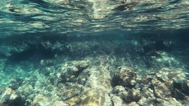 Mediterranean underwater scenery in slow motion, Pag, Croatia