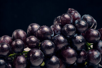 Bunch of black grapes in closeup.