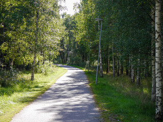 Obraz premium Empty road amidst trees in forest