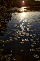 Sunset over lake