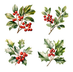 Mistletoe and holly watercolor clipart illustration with isolated background