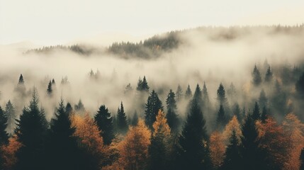 Generative AI, Misty autumn fir forest beautiful landscape in hipster vintage retro style, foggy mountains and trees. 