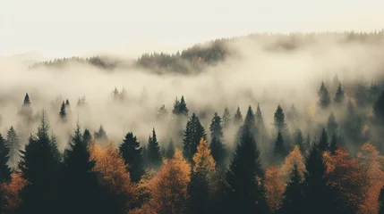 Papier Peint photo Lavable Forêt dans le brouillard Generative AI, Misty autumn fir forest beautiful landscape in hipster vintage retro style, foggy mountains and trees. 