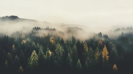 Keuken foto achterwand Grijs Generative AI, Misty autumn fir forest beautiful landscape in hipster vintage retro style, foggy mountains and trees. 