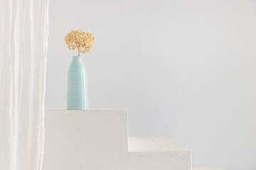 Dry hydrangea flower in blue vase on white interior. Minimalist still life