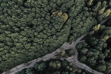 Widok na las i drogę z góry, las z lotu ptaka, zdjęcia lasu z drona, ekologia. View of the...