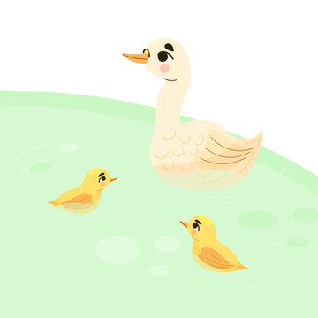 Farm lake with goose and little gooses, Baby geese, vector illustration
