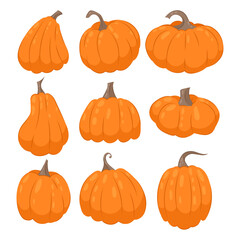 Set of vector illustrations of ripe orange pumpkins. Autumn vegetables, food, decor item.