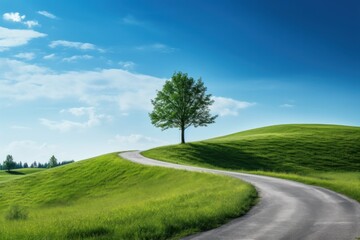 Fototapeta na wymiar curvy road with blue sky and green grass landscape