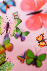 Top view of some colorful butterflies on pink background