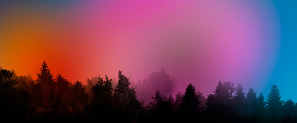 silhouette of forest against colored sky - foggy dark forest