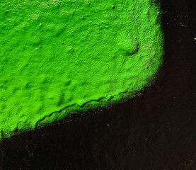 Close-up of a fragment of a green wall damaged by vandals with black spray paint, Vienna, Austria.