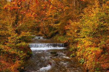 Enchanting Autumn River Amidst Narrow Mountain Gorge