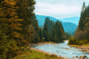 Fototapeta na wymiar Autumn's Serenade: A Serene River Journey Through the Enchanting Forest