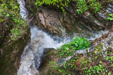 Water flows fast between wet stones. Honey waterfalls